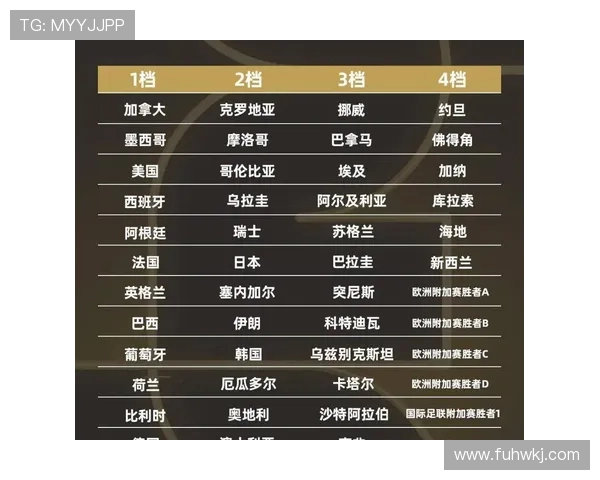2026世界杯D组收官回顾：美国输球仍以头名出线